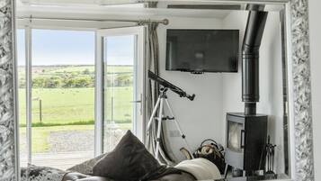 Een televisie en een open haard
