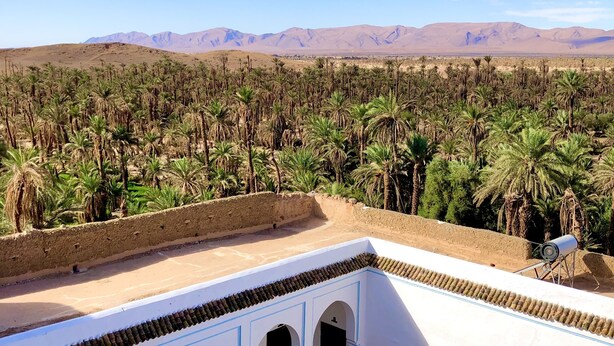 A courtyard with white walls and arches, surrounded by palm trees and a desert landscape. - Riad Bounaylat (Addiss)
