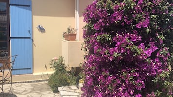 DĂ©tail de lâextĂ©rieur