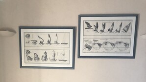 A room with a sofa, two lamps, and two framed illustrations on the wall. - Studio Equipe a Proximite Plages et Commerces (Six-Fours-les-Plages)