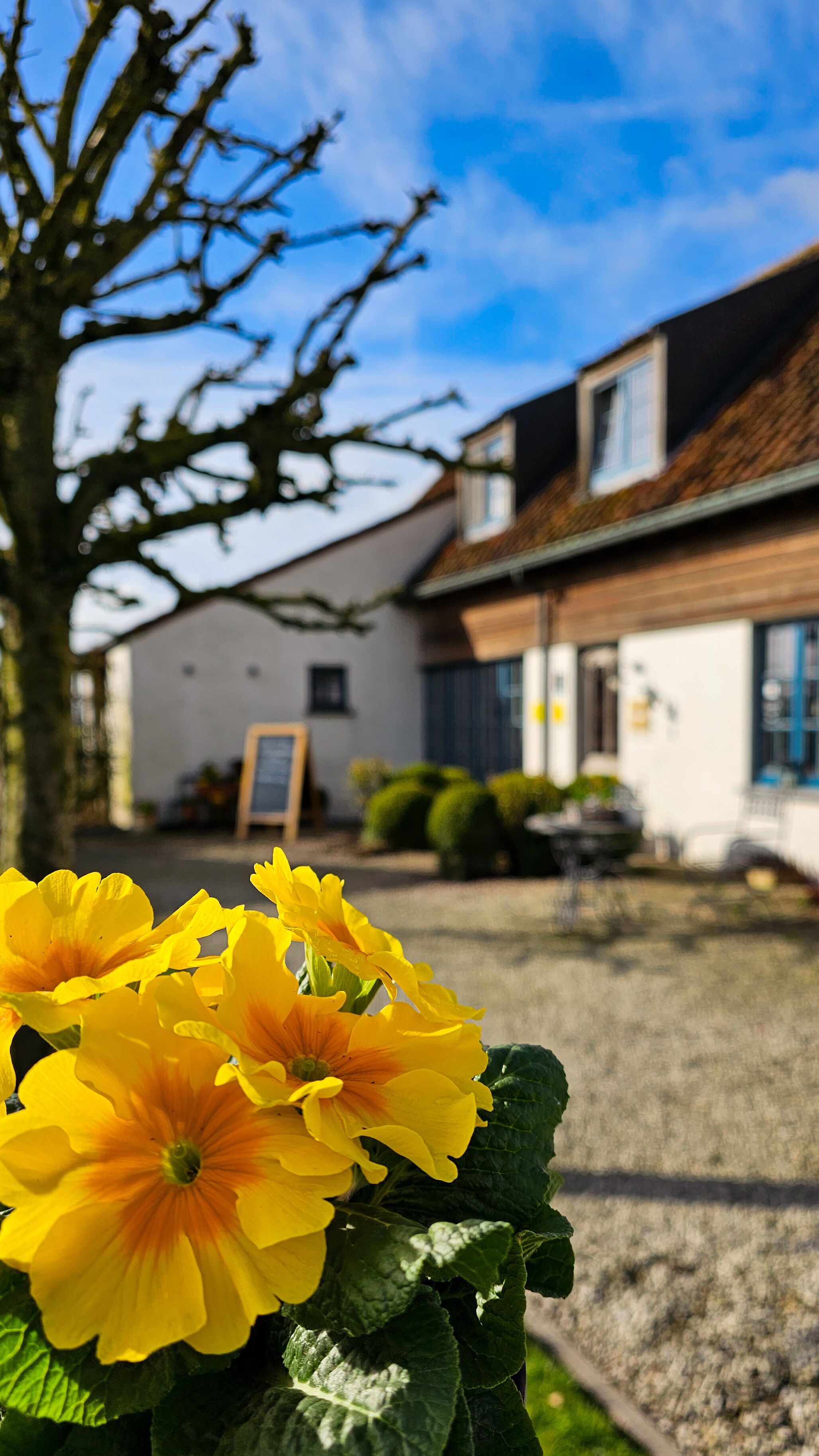 Front of property