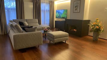 TV, fireplace