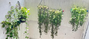 Lovely studio room in Hyderabad 