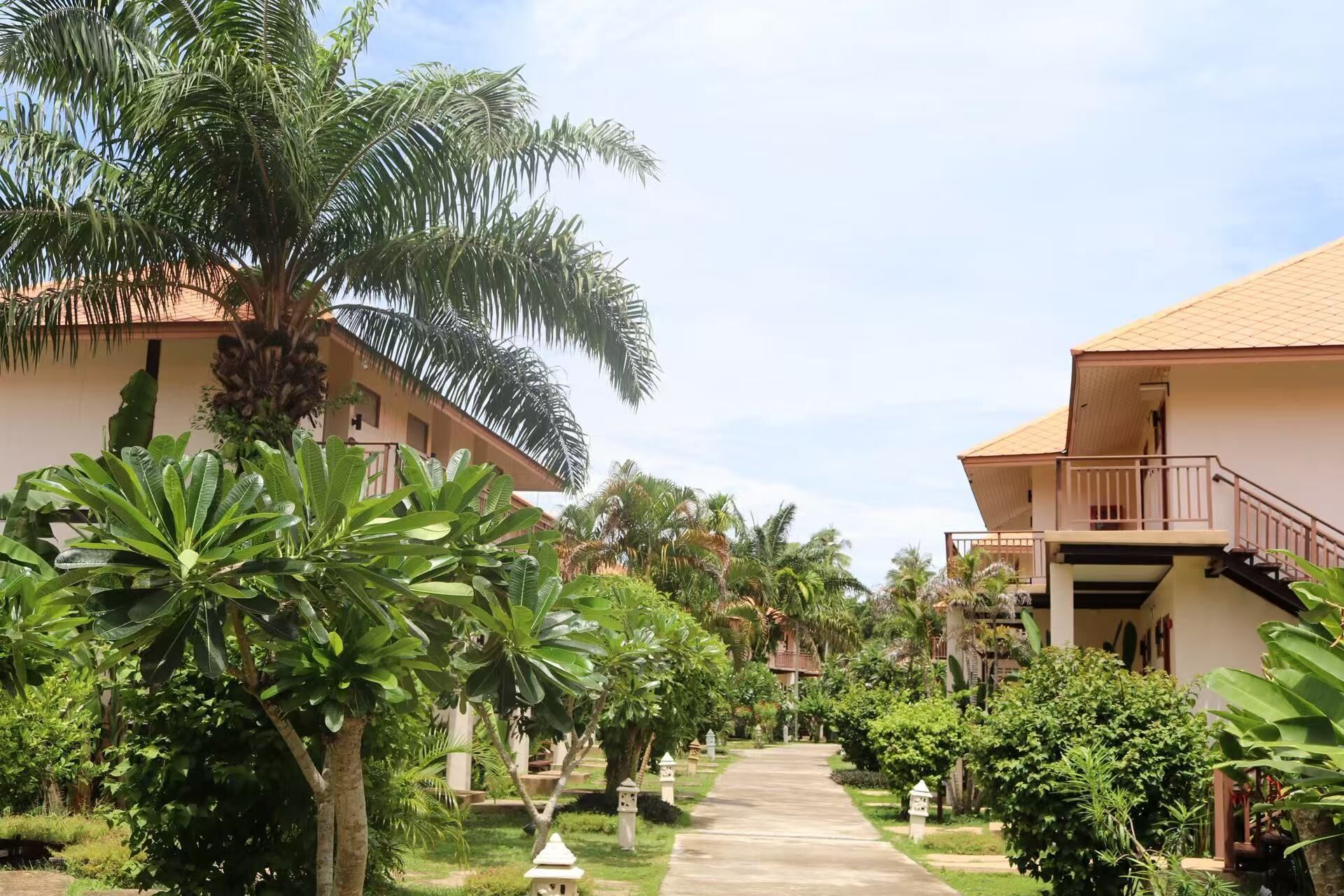 A pathway leading to a building with a balcony, surrounded by lush greenery and palm trees.