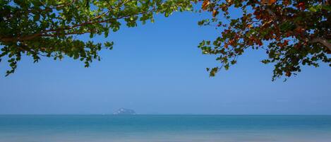 A beachside view with a row of empty lounge chairs facing the ocean, a clear sky, and a distant island.