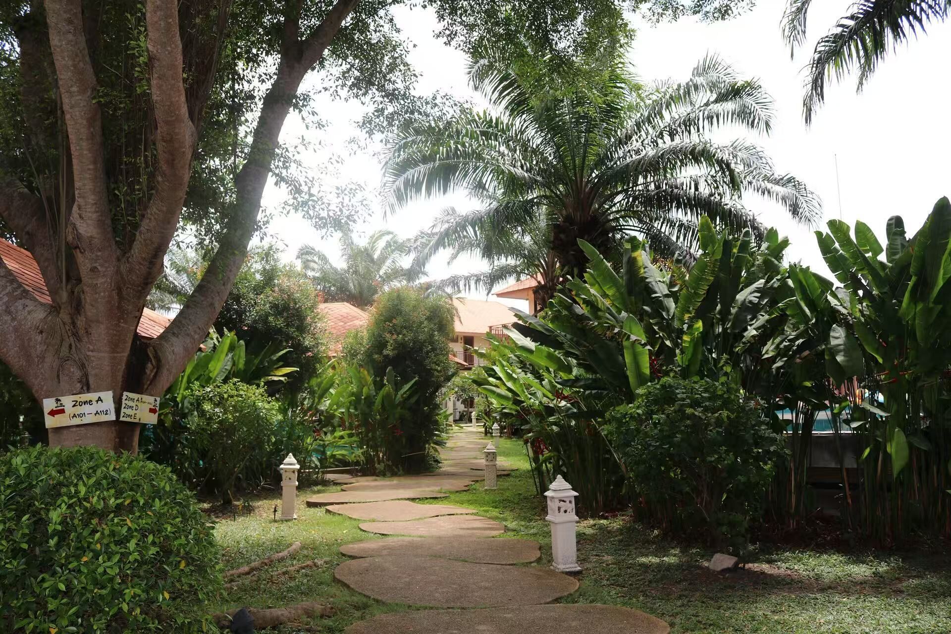 Ein Weg schlängelt sich durch einen üppigen Garten mit verschiedenen Pflanzen und Bäumen, darunter auch Palmen.