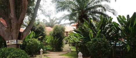 A pathway leading through a lush garden with various plants and trees, including palm trees.