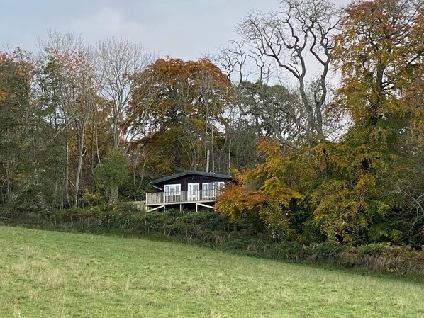 A cabin with a deck, surrounded by trees and a grassy field. - Kilninver Chalet on Reelig Estate (Inverness)