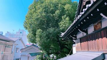 City view from property