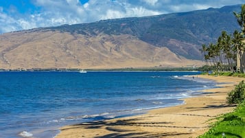 Condo, 2 Bedrooms | Beach | On the beach