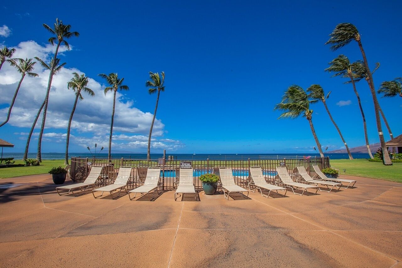 Un espace aménagé au bord de la piscine, avec des chaises longues, des palmiers et une vue sur l’océan.