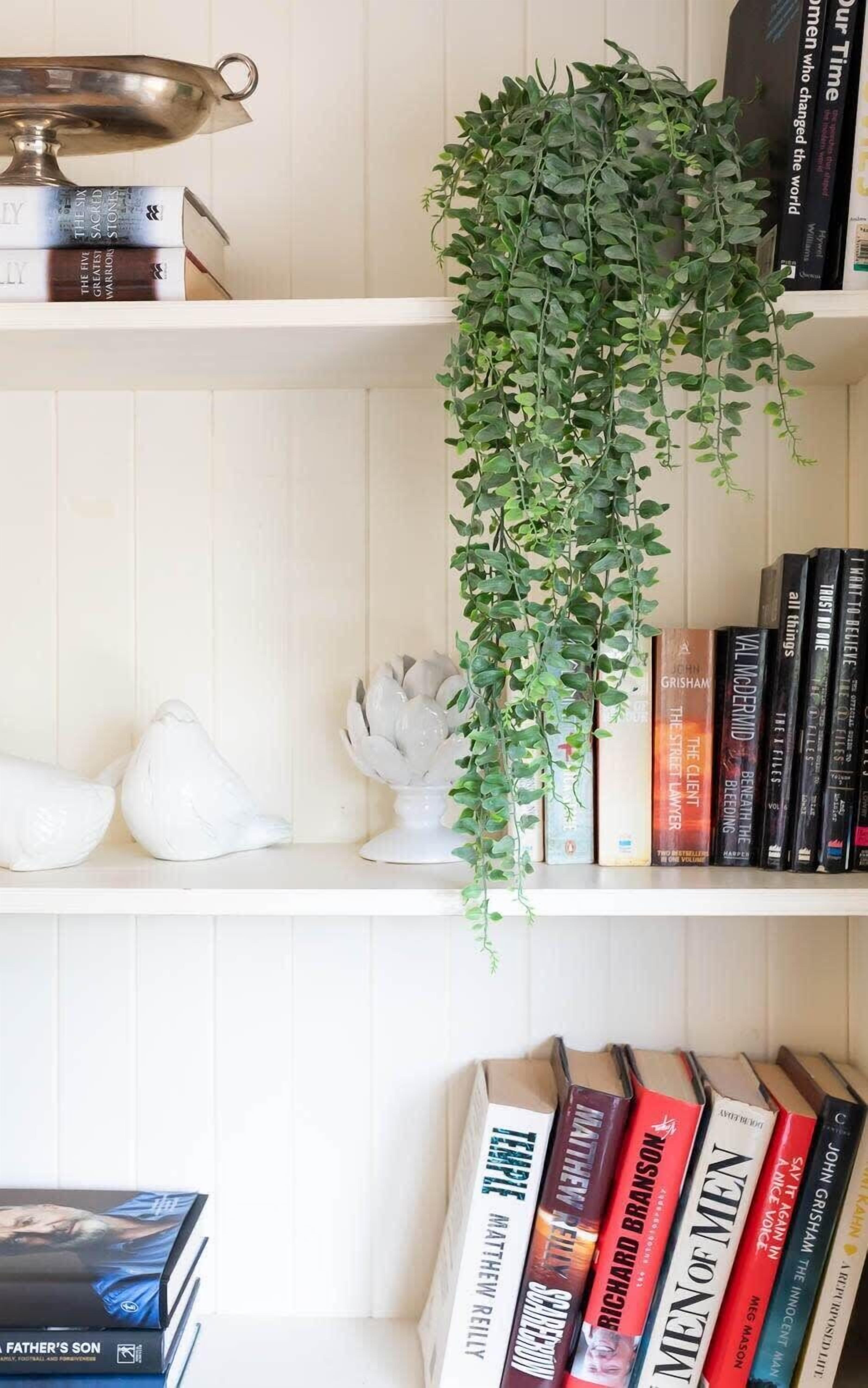 A bookshelf with books, a white vase, and a hanging plant.