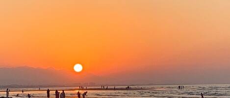 بالقرب من الشاطئ