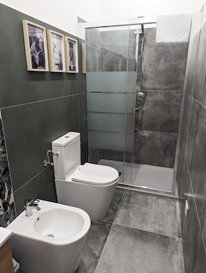 Dusche, Haartrockner, Bidet, Handtücher