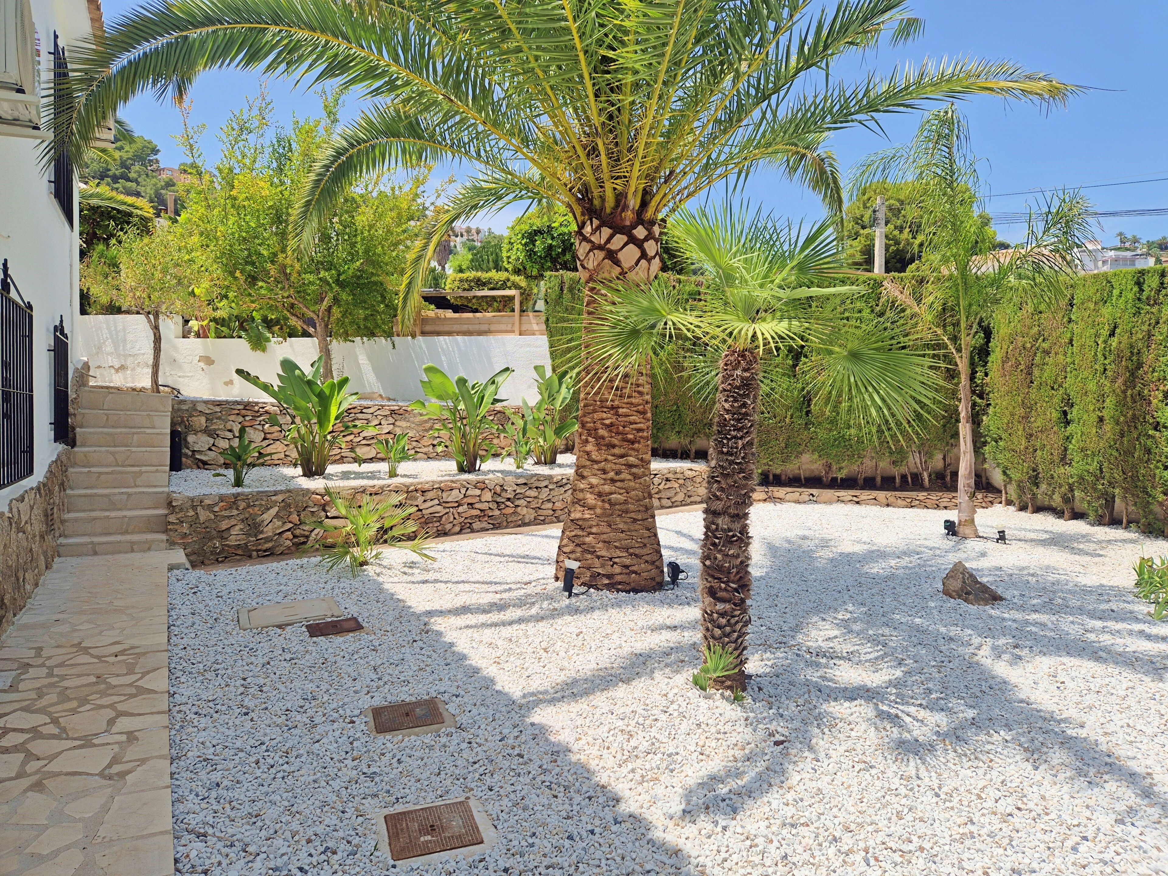 A garden with palm trees, a stone wall, and a gravel pathway.