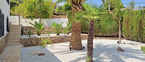 A garden with palm trees, a stone wall, and a gravel pathway.