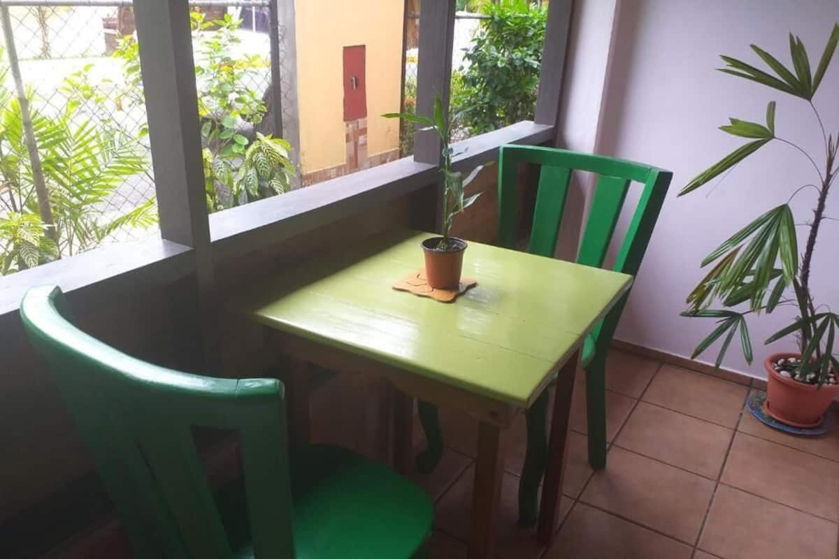 A small dining area with a table and two chairs, a potted plant, and a view of the outside.