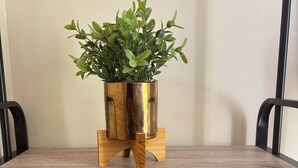En bænk med metalstel, træsæde og en potteplante i en gylden potte.