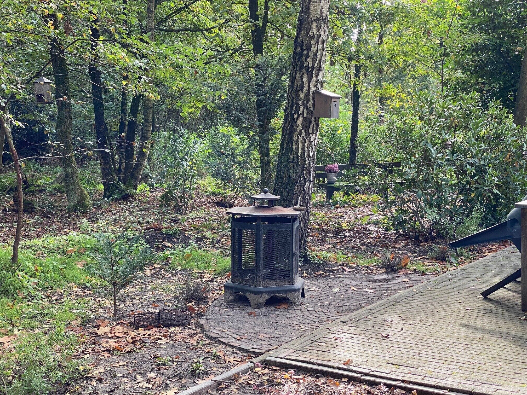 A forested area with a paved path, a birdhouse on a tree, and a bench with a potted plant.