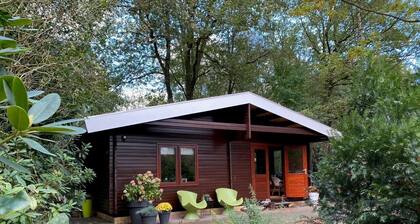 Houten Huis Direct aan Natuurpark Springendal en Nabij Kunststad Ootmarsum