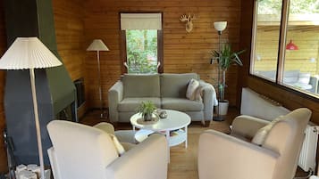 Smart TV, fireplace, books