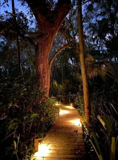 Palm Tree Getaway