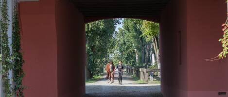 A covered pathway with a horse and rider under a red archway.