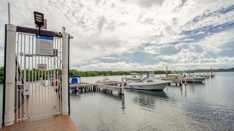 EcoMar Rentals Villa