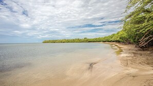 A beach with clear water, a sandy shore, and a line of trees in the background. -  EcoMar Rentals Villa (Cabo Rojo)