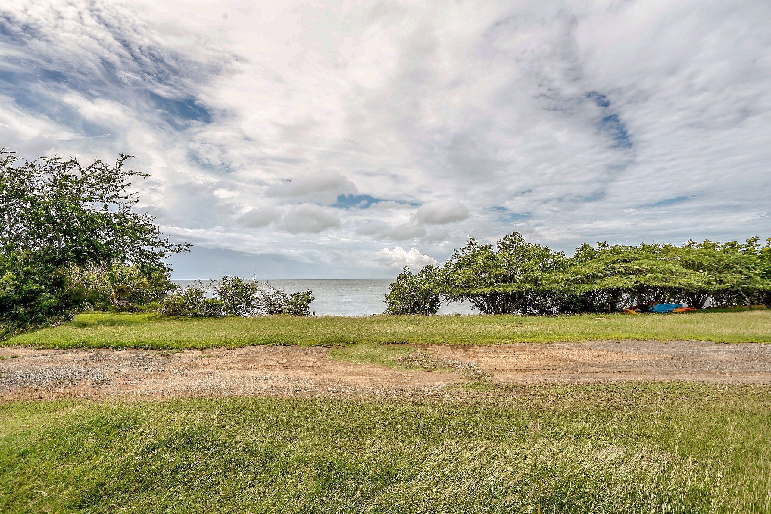 A grassy field with trees and a body of water in the background.