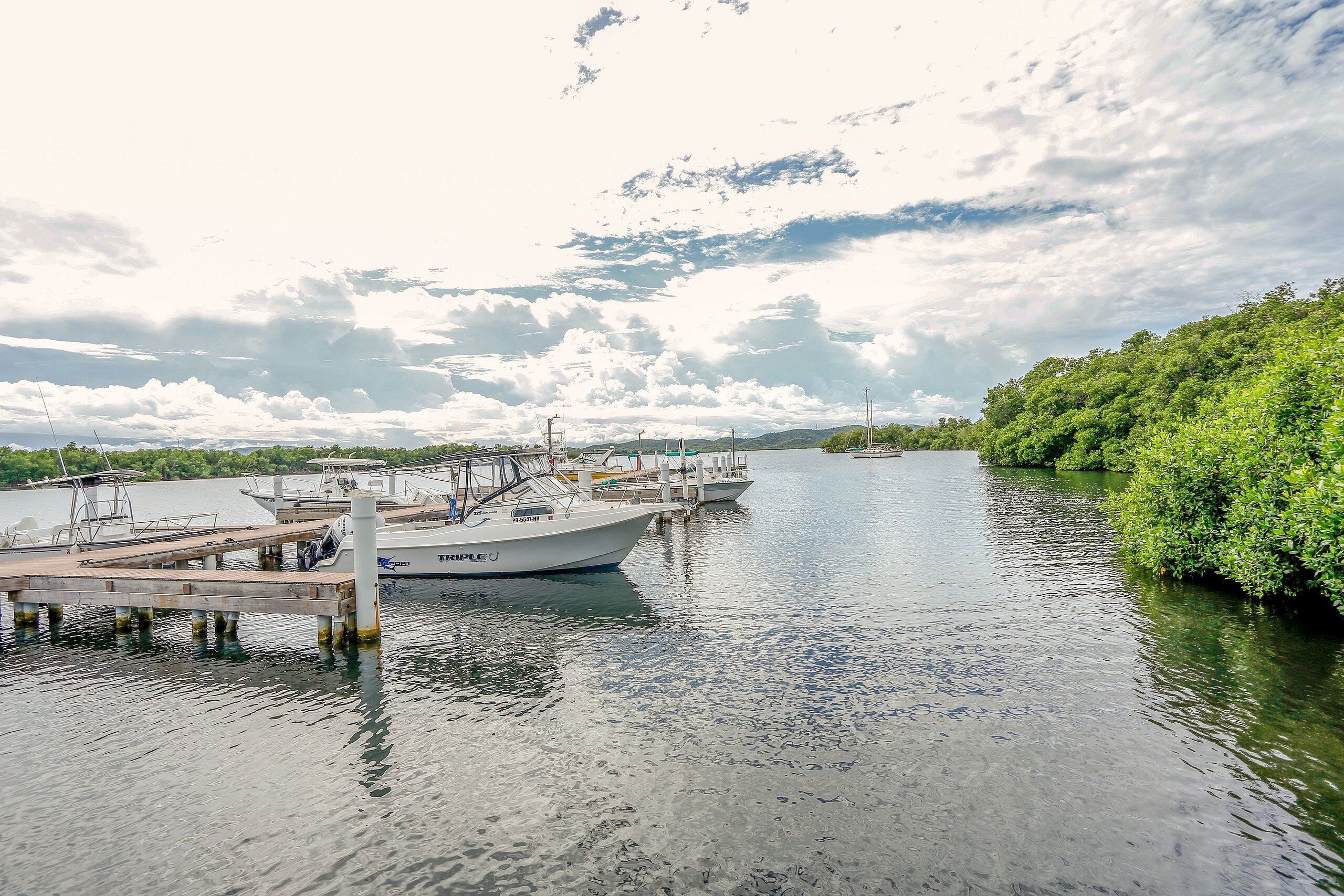 A dock with boats, calm water, and a forested area.