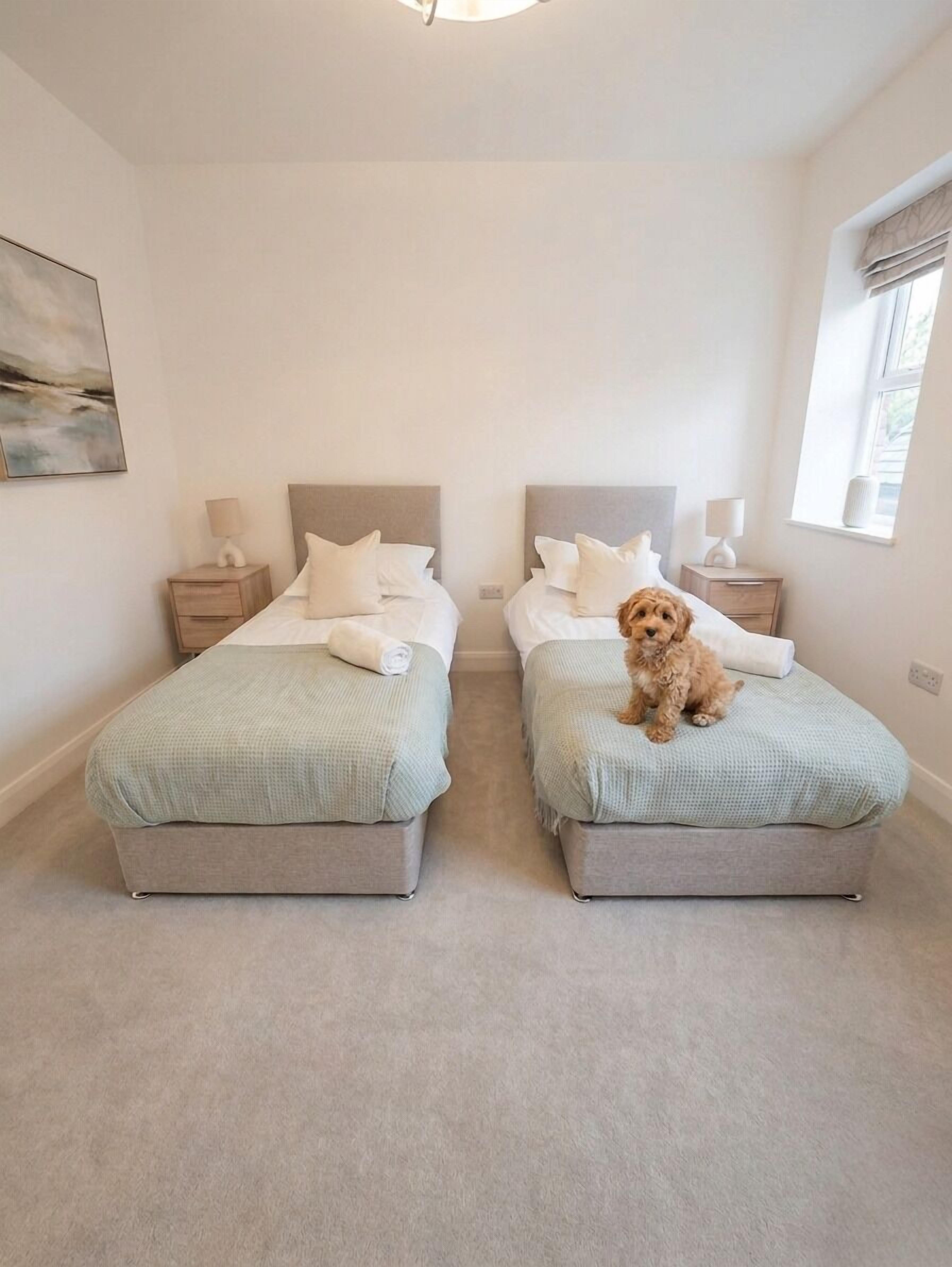 Ambleside (Pet friendly) | Hypo-allergenic bedding, individually decorated, individually furnished