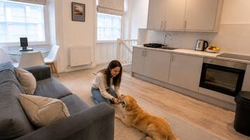 Una sala de estar moderna con un sofá, una mesa de comedor y una zona de cocina con armarios y una estufa.