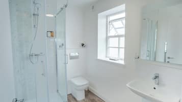 Ein modernes Badezimmer mit einer Duschkabine, einer Toilette und einem Waschbecken mit Spiegel darüber.