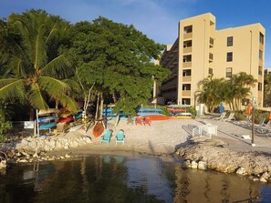 ビーチの近く、ビーチタオル