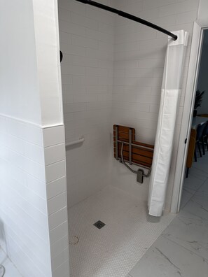 Chuveiro, secador de cabelo, toalhas de banho, papel higiênico