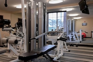 Un gimnasio con diferentes máquinas de ejercicio, un espejo y una ventana con vistas a montañas nevadas.