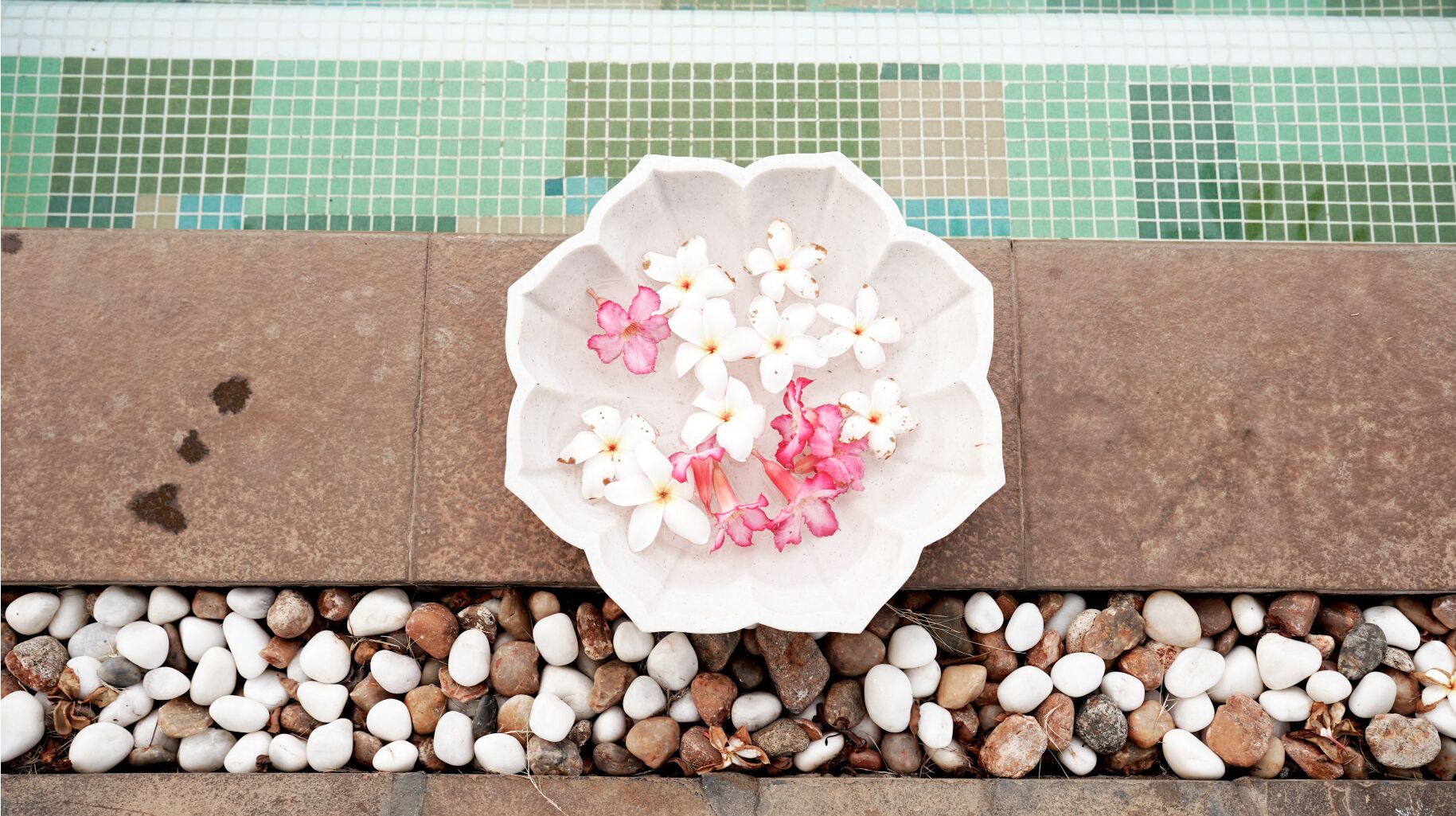 Hồ bơi