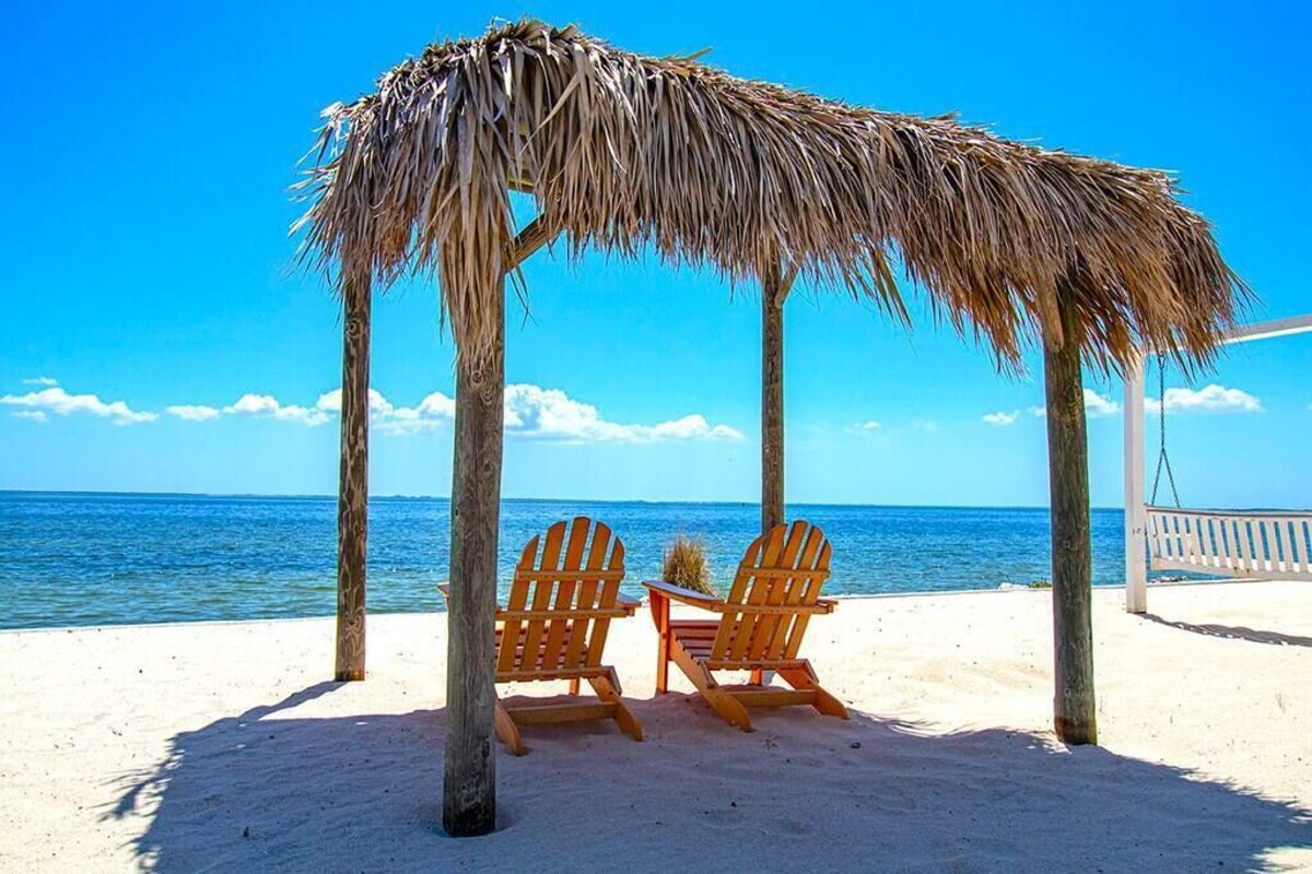 러츠 (FL) Peaceful Paradise - Restful Retreat, Natural Beauty 호텔 객실