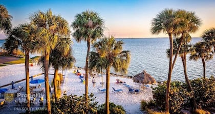 Rays by the Bay - Sunlit Mornings, Peaceful Evenings