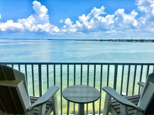 Property grounds - Cool Breeze - Sunset views like no other! (Tampa)