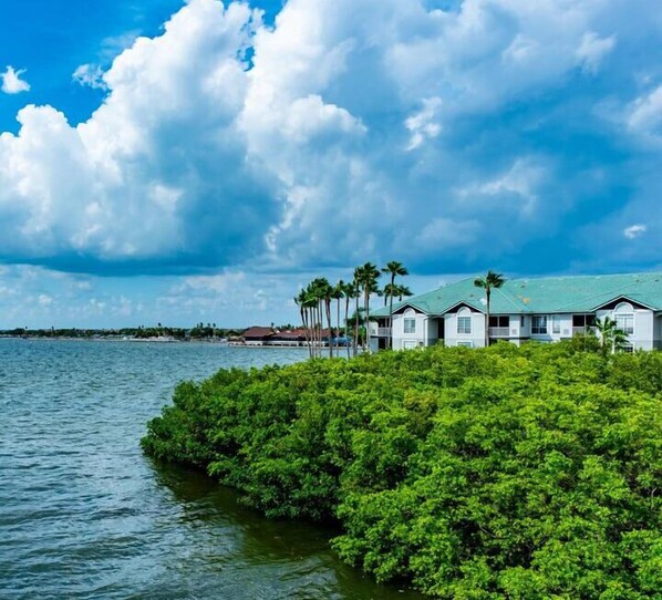 Exterior - Paradise Point - Sunset Bliss, Tropical Flair (Tampa)