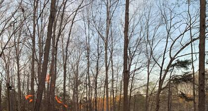 Large Private Lake Front home on level lot, kayaks, fire pit FREE firewood!!