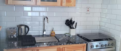 Economy House | Dapur peribadi | Peti sejuk, ketuhar gelombang mikro, dapur