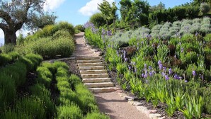 Una escalera de piedra que sube por un sendero de jardín rodeado de exuberante follaje y flores púrpuras.