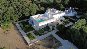 A modern villa with a swimming pool, surrounded by landscaped gardens and a private pool area. - Finamore - Panoramic villa with sea view, pool, forest, 4-5 bedrooms, Monopoli (Cozzana)