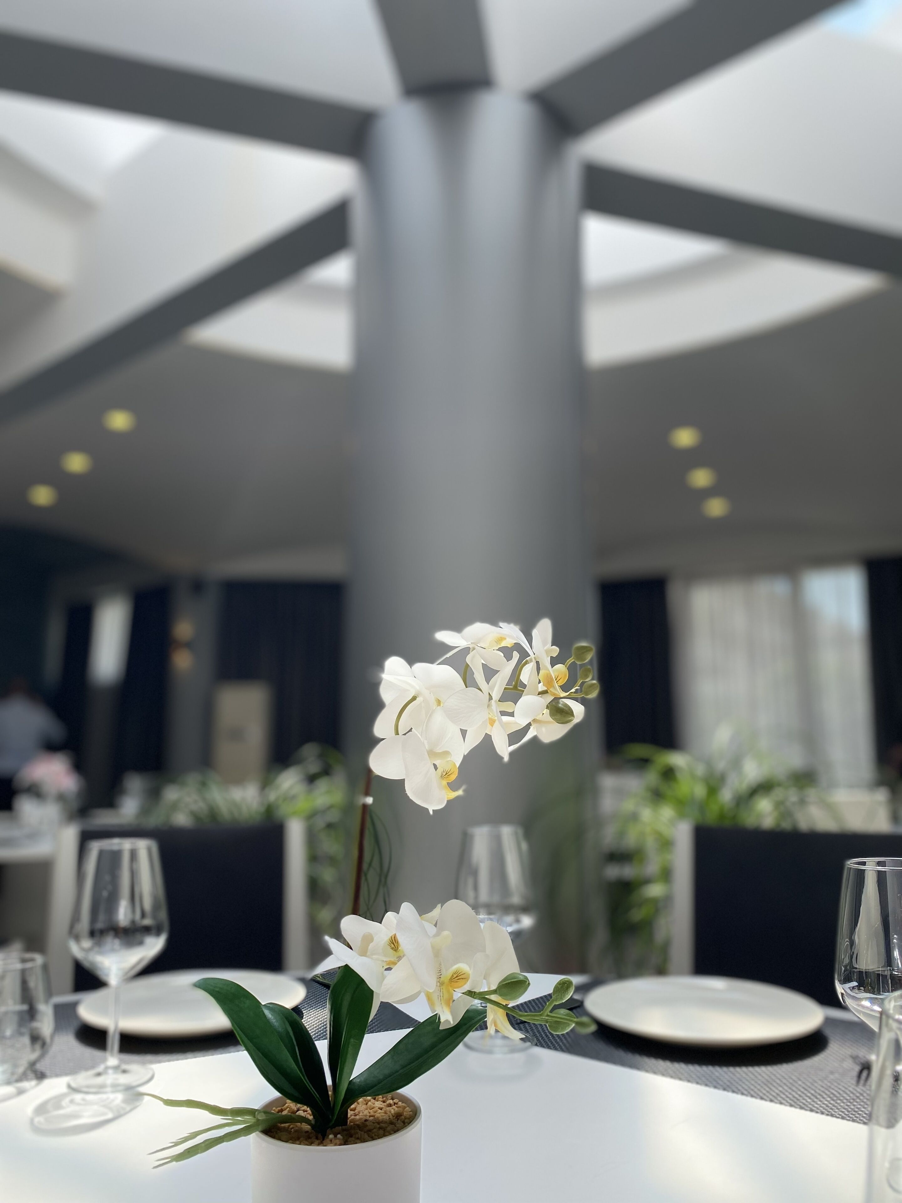 A dining table with a potted orchid, a wine glass, and a plate.