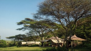 A safari lodge with tents and a large tree. - Esirai Mobile Migration Camp (Serengeti)