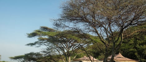 Vista frontal de la propiedad