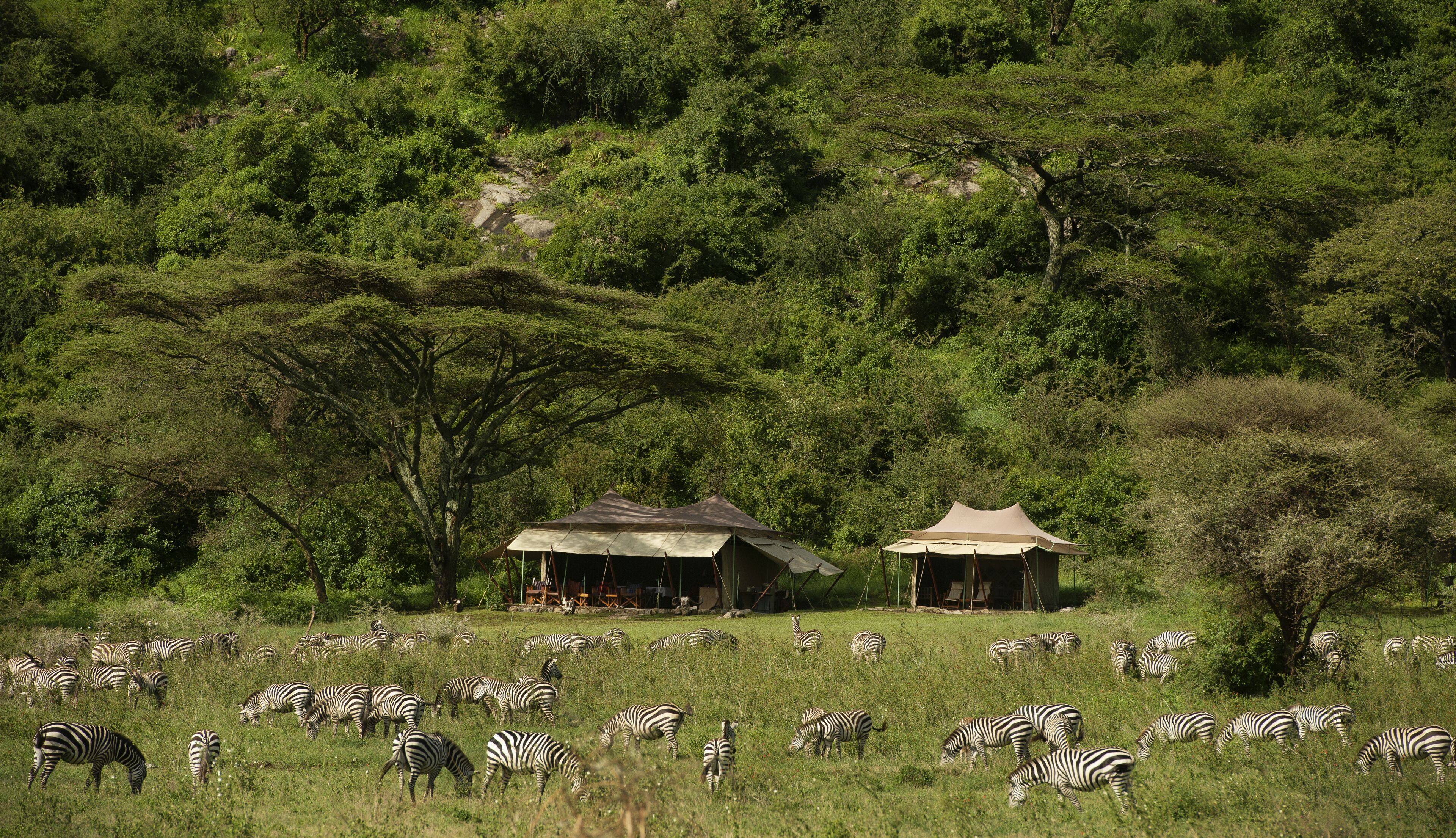 Land view from property